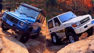 Mercedes G500 40L V8 vs Land Cruiser LC71 40L V6 v Ford Bronco 30L V6 v Range Raptor PK Offroad [upl. by Anhsirk]