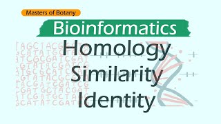 Homology Similarity and Identity  Bioinformatics [upl. by Adamek]