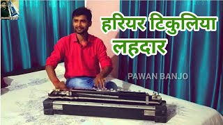 Hariyar Tikuliya Lahardar Tikuli Satale Bani Banjo CoverPAWAN BANJO BULBUL TARANGटिकुली सटले बानी [upl. by Peugia]