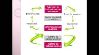 Metas analíticas para la mejora continua [upl. by Yelahs]