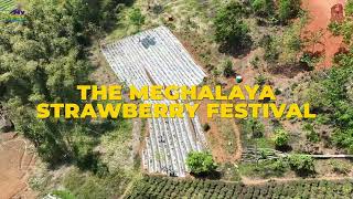 The Meghalaya Strawberry festival 2024 [upl. by Bing]