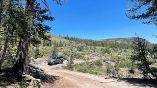 Leavitt Lake California  OffRoad Trail [upl. by Namilus]