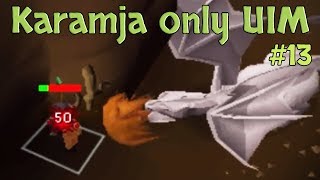 Karamja Only UIM  I did over 50 Steel Dragons without a Shield 13 [upl. by Joela]