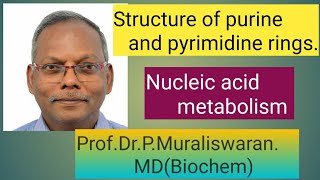 Structure of purine and Pyrimidine rings Muralis Simplified Biochemistry [upl. by Hilleary]