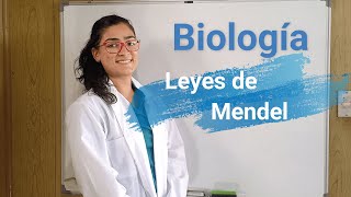 Biología Bachillerato  Genética mendeliana  Leyes de Mendel  Introducción a cuadros de Punnett [upl. by Valsimot]