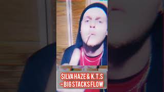 ilva haze and kt  big stacks flow dropping soon silvahaze [upl. by Huei]