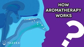 How Aromatherapy Works [upl. by Eelam]