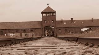 AuschwitzBirkenau [upl. by Oznole238]