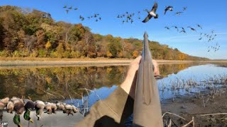 Duck Hunting Massive Flocks of Ducks All Morning This Was So Unexpected [upl. by Zielsdorf]