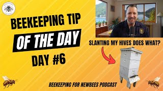 Beekeeping Tip Of The Day Day 6 Slant Your Hives Forward [upl. by Omoj125]