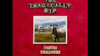 The Tragically Hip  Little Bones [upl. by Milli]