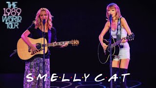 Taylor Swift amp Lisa Kudrow  Smelly Cat Live on The 1989 World Tour [upl. by Bilicki]