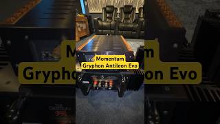 Gryphon Antileon Evo amp Momentum S250 MXV  How Do They Compare poweramplifier hifiaudio [upl. by Huntington66]