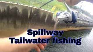 FISHING THE BROOKVILLE LAKE TAILWATER SPILLWAY [upl. by Nurse]