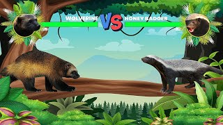 Wolverine Vs Honey Badger [upl. by Nitneuq]