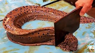 Необычная Разделка МУРЕН и Других Рыб  Unusual Cutting of MORAY EELS  ГОНКОНГ Морепродукты [upl. by Lorien30]