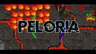 TIBIA PELORIA  QUALITY VS QUANTITY  FERUMBRAS BONUS sleepersdominando [upl. by Fesoy]