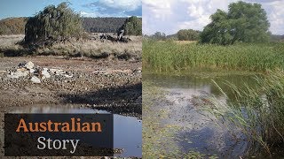 Natural sequence farming How Peter Andrews rejuvenates droughtstruck land  Australian Story [upl. by Ilka]