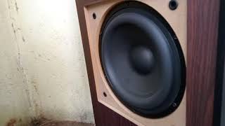 FampD T60x Outdoor Full Bass Test 🔊♥🎧 [upl. by Akcirred]