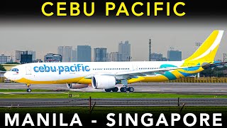 CEBU PACIFICs massive 459 SEAT Airbus A330900neo  Manila to Singapore  TRIP REPORT [upl. by Arnst959]