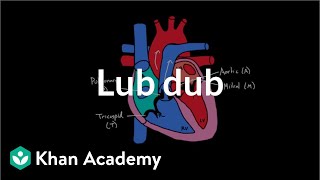 Lub Dub  Circulatory system physiology  NCLEXRN  Khan Academy [upl. by Chanda]