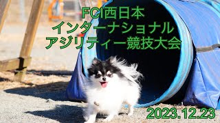 FCI西日本インターナショナルアジリティー競技大会 20231223 [upl. by Hsemin392]