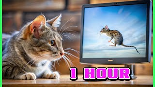 😺CAT GAMES l 1 Hour of Mouse amp Bug Fun for Cats Videos for Cats to Watch [upl. by O'Toole]