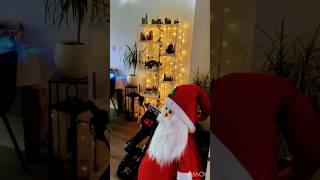 Christmas time Eerst nog Sinterklaas vieren trending shortfeed kerst viralshort kerstmis fyp [upl. by Casia]