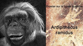 Ardipithecus ramidus [upl. by Eahsan]