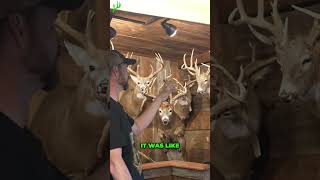 Giant Illinois Bucks Austins Home Tour [upl. by Grodin]