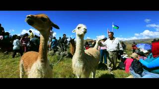 Andahuaylas  Sondor Raymi 2013 [upl. by Eehc]