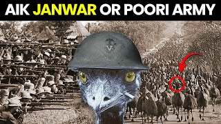 How Australia Lost War Against Birds  The Great EMU War [upl. by Oba]