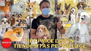 UPDATED PET PRICE LIST IN TIENDESITAS PET VILLAGE  SO CUTE MUST WATCH [upl. by Midian]