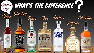 Difference between Alcoholic Beverages WineWhiskeyRumGinVodkaTequilaBrandyAlcohol percentage [upl. by Acinimod]