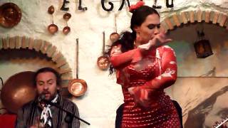 Sacromonte Flamenco in Granada [upl. by Skricki598]