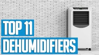 Best Dehumidifiers 2019  TOP 11 Dehumidifier 🌟 [upl. by Atiuqrehs]