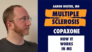 How Copaxone Works in MS Mechanism of Action Explained in 60 Seconds [upl. by Helmut394]