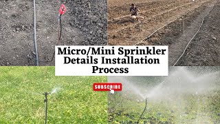 Micro Sprinkler Installation process  Micro Irrigation system [upl. by Ohare446]