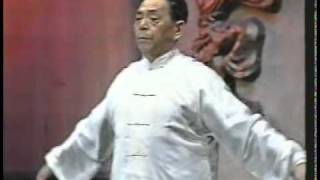 Primordial Qigong  Grandmaster Feng Zhiqiang [upl. by Aicatan]