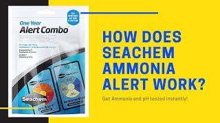 Seachem Combo pH  Ammonia Alert Aquarium Test Kit [upl. by Sllew894]