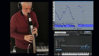 Roland Aerophone Pro AE30 and Soprano Sax SFZ sample library for free Sforzando and Aria Player [upl. by Sillert]