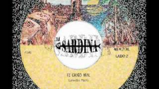 ARMANDO HERNANDEZ TE CAIGO MAL 45rpm DJEL SARDINAwmv [upl. by Ginevra]