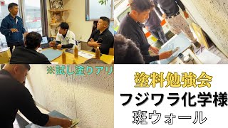 左官職人が塗ったかのような質感！大人気「斑ウォール」説明会 都城市宮崎塗装リフォーム補助金 [upl. by Janetta]