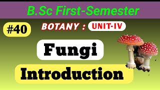 Fungi Introduction  General Characteristics Nutrition life Cycle reproduction  bsc msc fungi [upl. by Arima264]