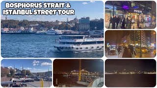 Istanbul Streets and Bosphorus Strait Day And Night Tour [upl. by Diver]