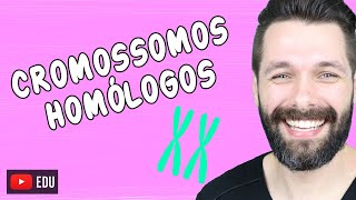 O QUE SÃO CROMOSSOMOS HOMÓLOGOS   Biologia com Samuel Cunha [upl. by Nodnarb511]