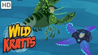 Wild Kratts  Discovering Wildlife at Sea [upl. by Fay]