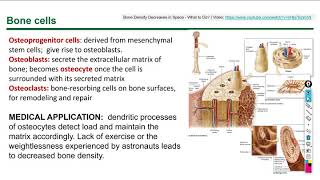 Histology Chapter 8 10 part 1 [upl. by Gilbart]