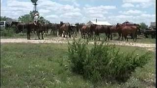 A Day in the Life of a West Texas Cowboy [upl. by Yerdna]