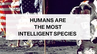 We Are More Intelligent Than Animals [upl. by Hakilam]